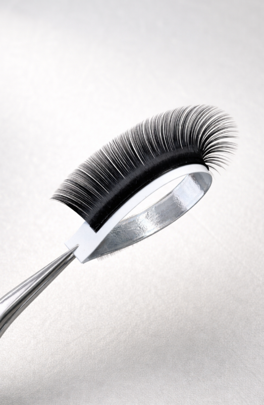 Collection CLASSIQUE Black shiny